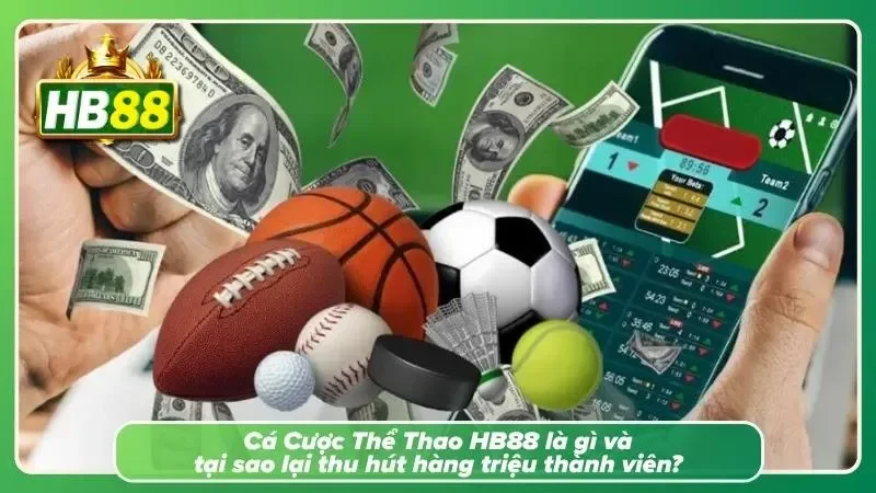 Không gian dự đoán thể thao đa dạng với nhiều giải đấu hấp dẫn quanh năm