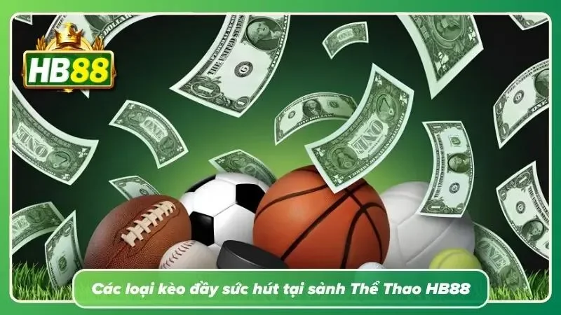 Tổng hợp nhiều lựa chọn dự đoán phù hợp với từng môn thi đấu khác nhau