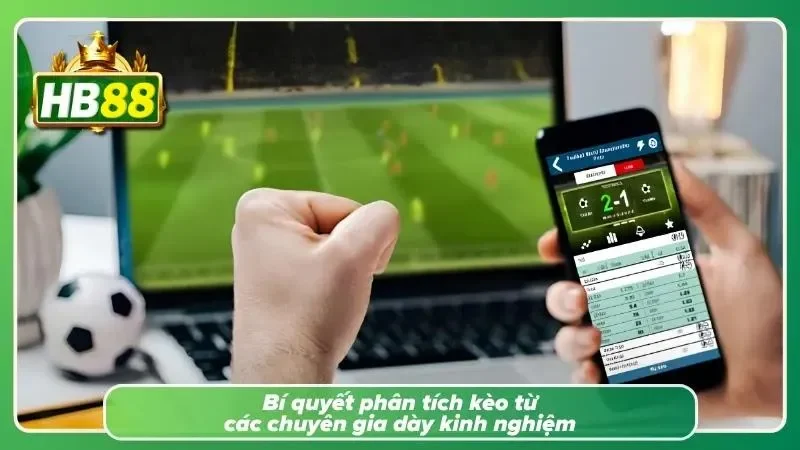 Tổng hợp những yếu tố thường được tham khảo khi đánh giá thông tin trận đấu