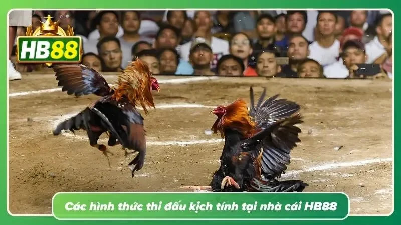 Tổng hợp nhiều thể thức tranh tài đáp ứng đa dạng sở thích theo dõi