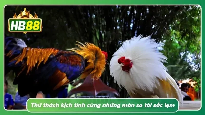 Hình ảnh những pha tranh tài quyết liệt với diễn biến đầy hấp dẫn