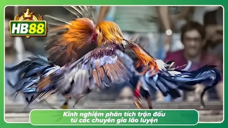 Chia sẻ những yếu tố thường được sử dụng để đánh giá trước mỗi trận