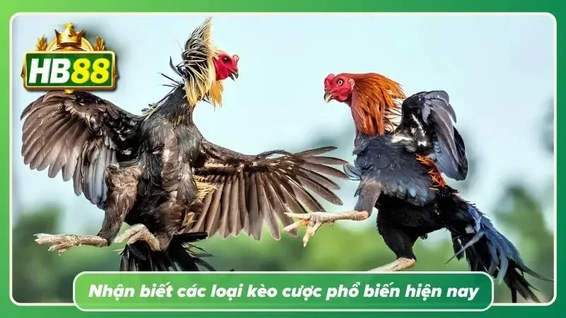Giới thiệu những lựa chọn dự đoán cơ bản giúp người mới dễ dàng làm quen