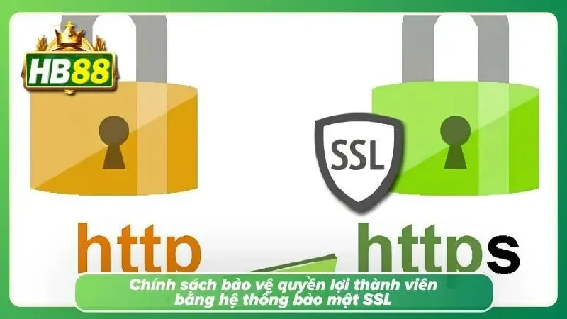 Giới thiệu cơ chế mã hóa dữ liệu giúp tăng cường an toàn trong quá trình sử dụng
