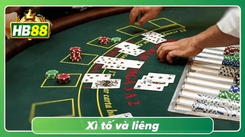 Hai trò chơi bài quen thuộc với luật chơi hấp dẫn và nhịp độ kịch tính